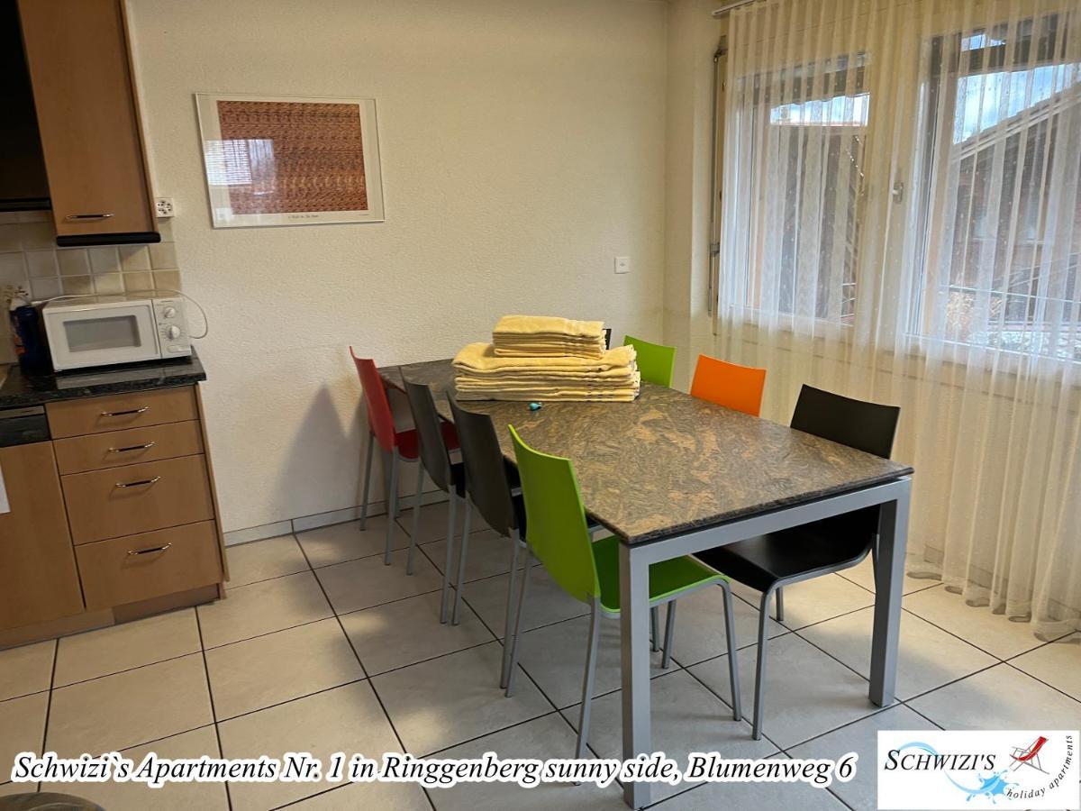 Schwizi'S Apartments Ringgenberg Dış mekan fotoğraf